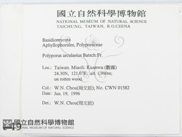 登錄號:F0004929藏品圖，第2張