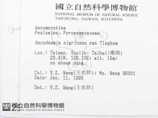 登錄號:F0002929藏品圖，第2張