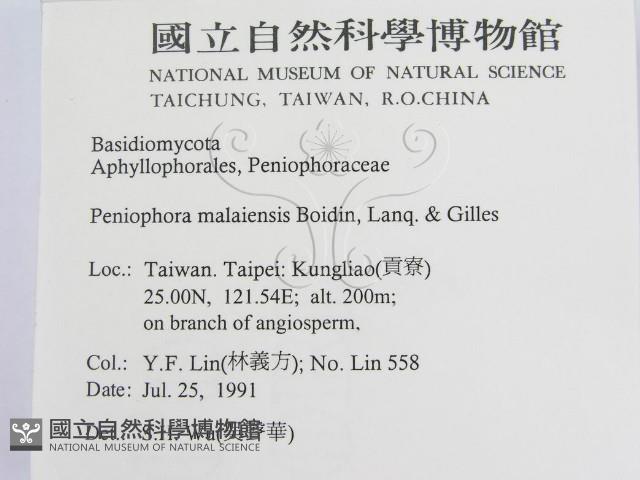 登錄號:F0012929藏品圖，第2張