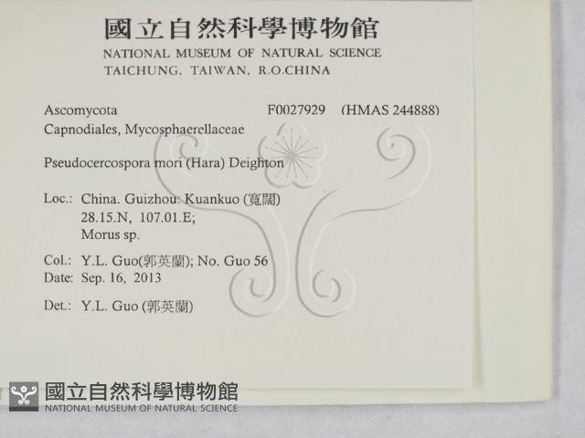 登錄號:F0027929藏品圖，第2張