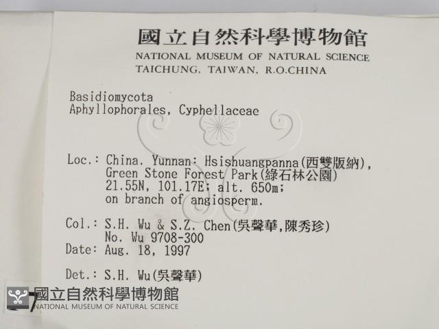 登錄號:F0007929藏品圖，第2張