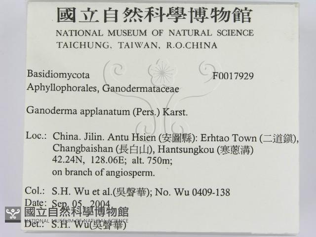 登錄號:F0017929藏品圖，第2張