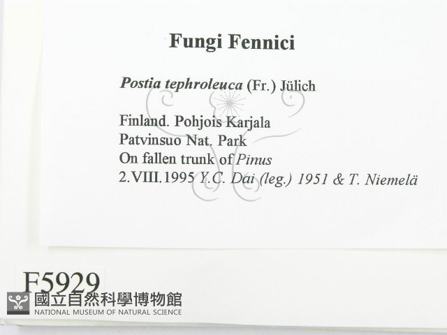 登錄號:F0005929藏品圖，第2張
