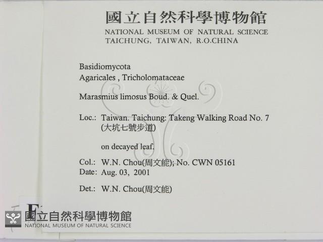 登錄號:F0015929藏品圖，第2張