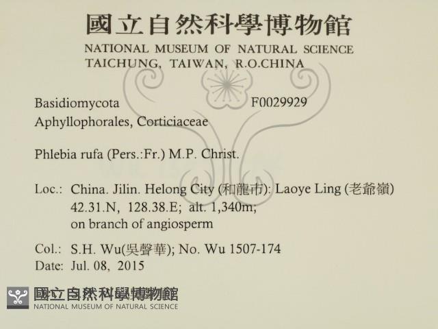 登錄號:F0029929藏品圖，第2張