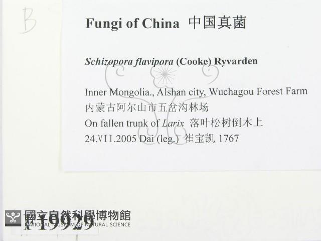 登錄號:F0019929藏品圖，第2張