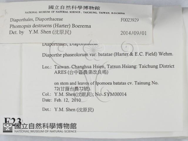 登錄號:F0023929藏品圖，第2張