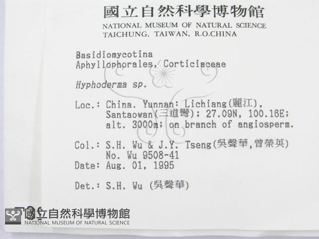 射脈菌屬藏品圖，第2張
