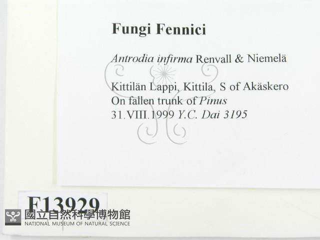 登錄號:F0013929藏品圖，第2張