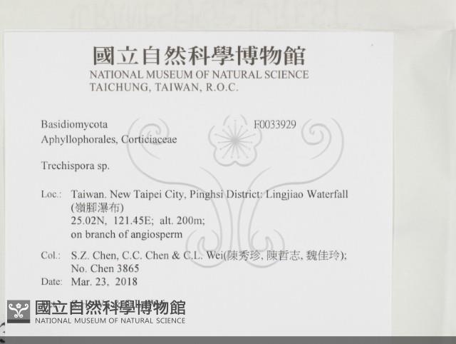 登錄號:F0033929藏品圖，第2張