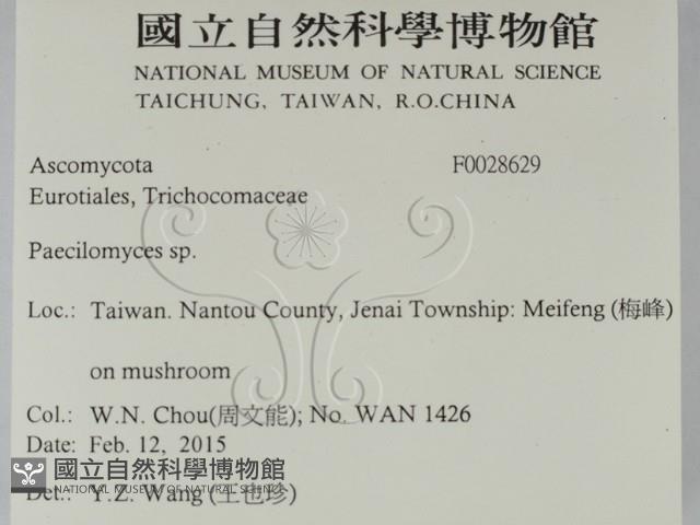 登錄號:F0028629藏品圖，第2張