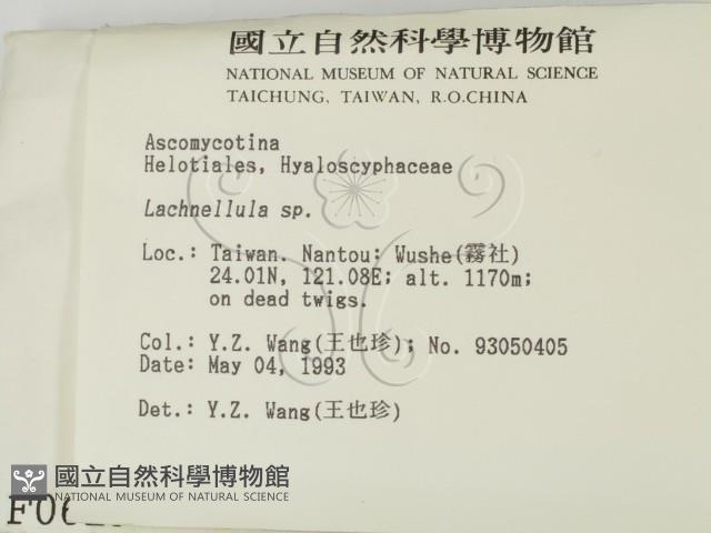 登錄號:F0000629藏品圖，第2張