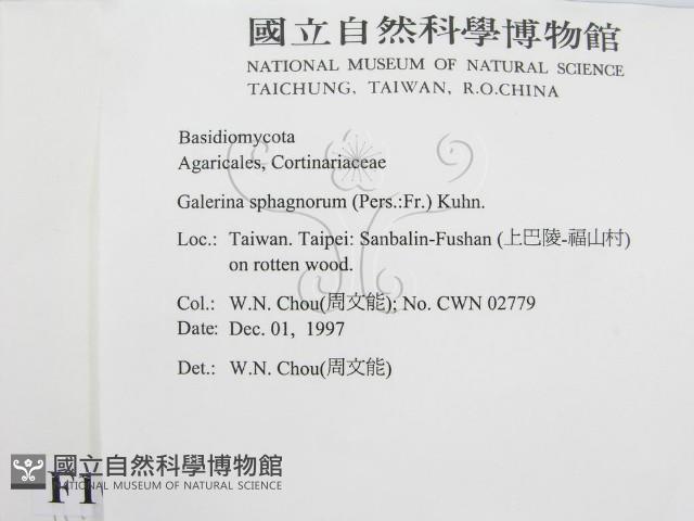 登錄號:F0010629藏品圖，第2張