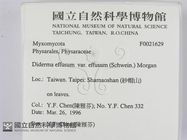 登錄號:F0021629藏品圖，第2張
