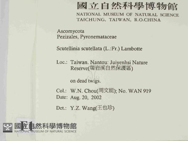 登錄號:F0014629藏品圖，第2張