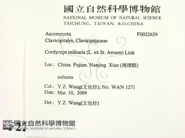 登錄號:F0022629藏品圖，第2張