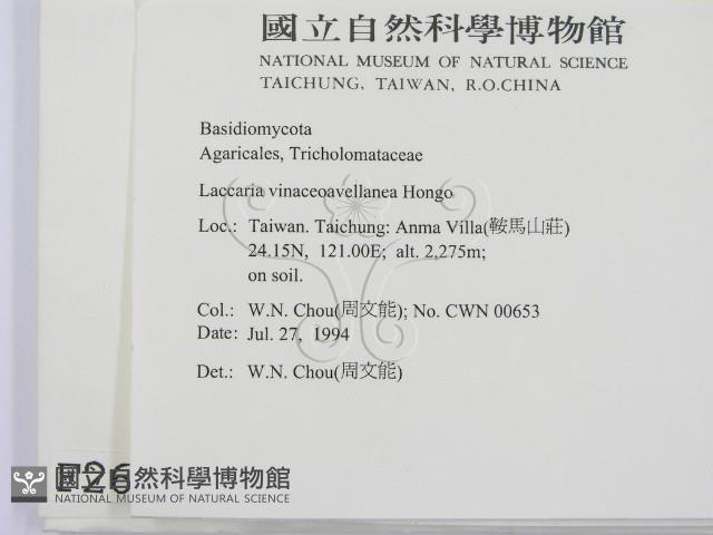 登錄號:F0002629藏品圖，第2張