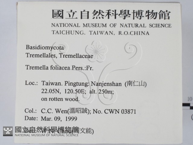 登錄號:F0012629藏品圖，第2張