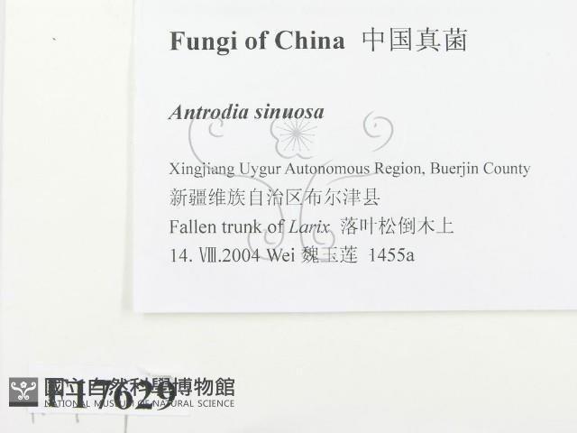 登錄號:F0017629藏品圖，第2張