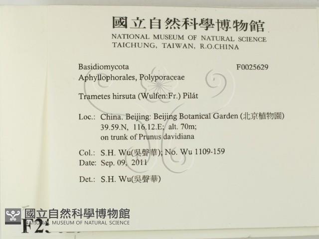 登錄號:F0025629藏品圖，第2張