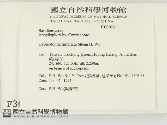 登錄號:F0003629藏品圖，第2張
