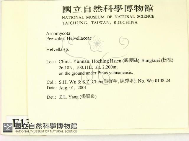 登錄號:F0013629藏品圖，第2張