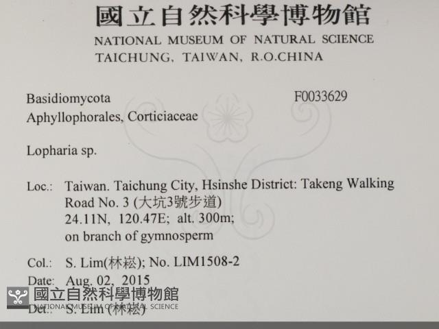 登錄號:F0033629藏品圖，第2張