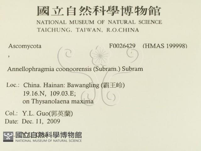 登錄號:F0026429藏品圖，第2張