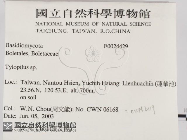 登錄號:F0024429藏品圖，第2張