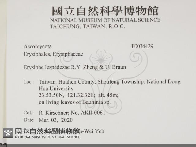 登錄號:F0034429藏品圖，第2張