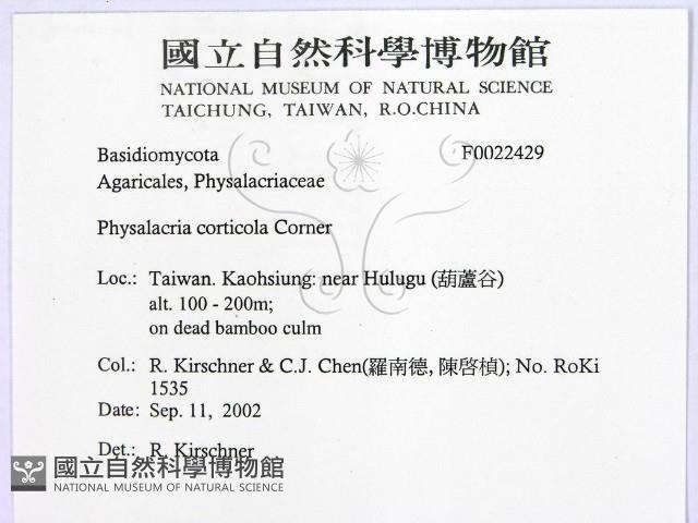 登錄號:F0022429藏品圖，第2張