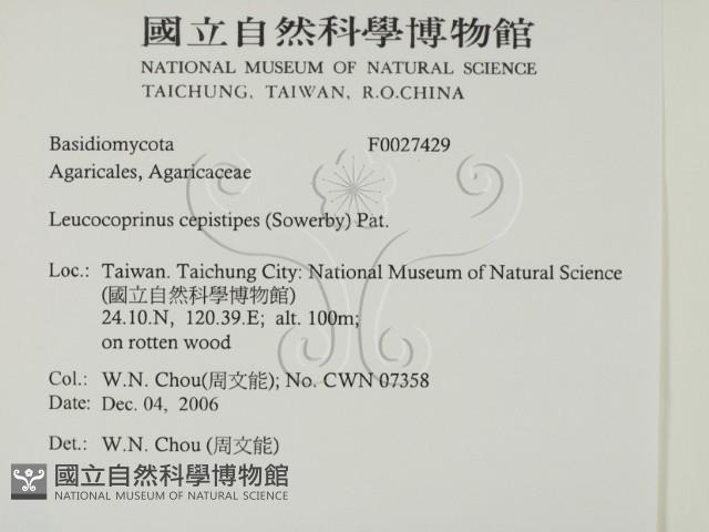 登錄號:F0027429藏品圖，第2張