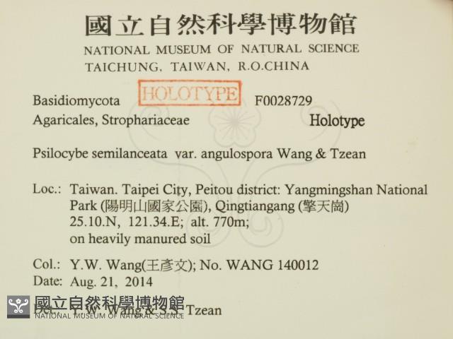 登錄號:F0028729藏品圖，第2張