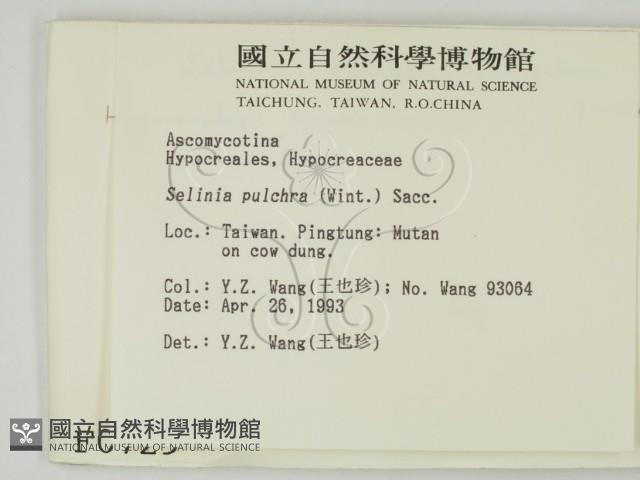 登錄號:F0000729藏品圖，第2張