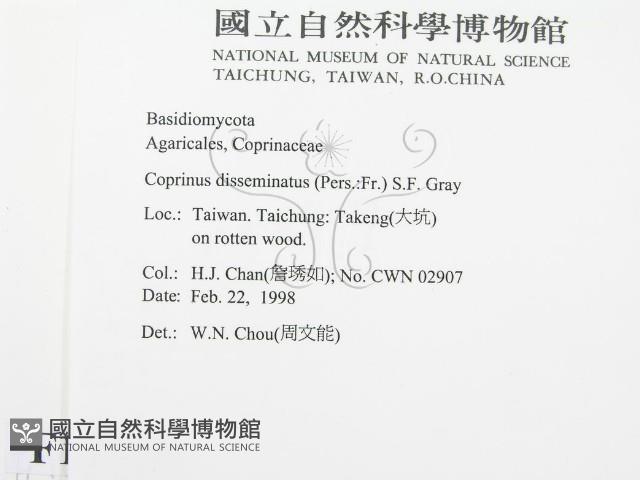 登錄號:F0010729藏品圖，第2張