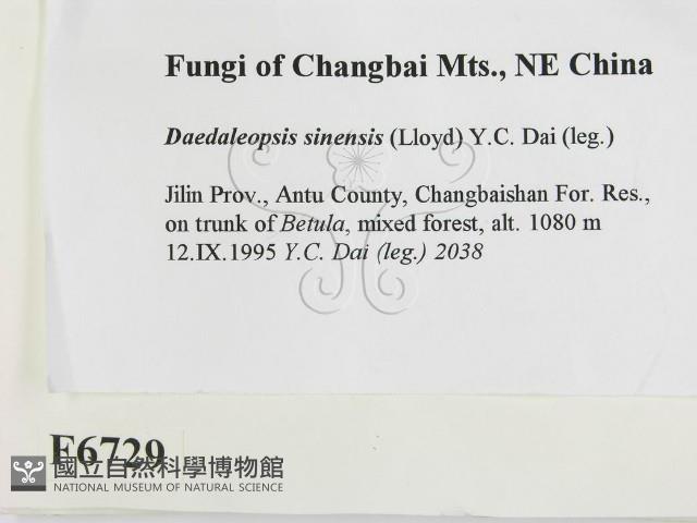 登錄號:F0006729藏品圖，第2張