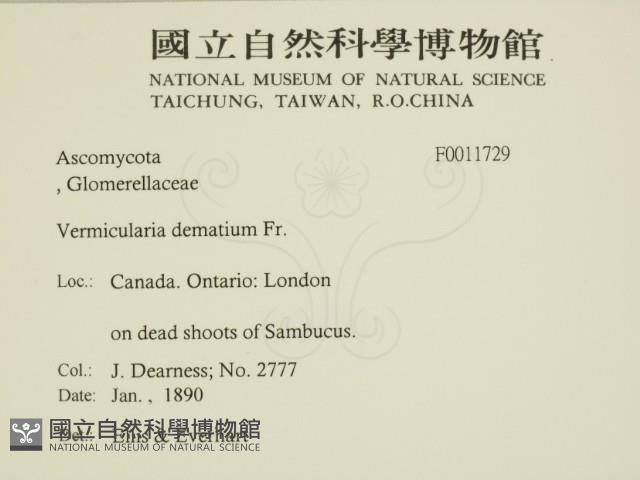 登錄號:F0011729藏品圖，第2張