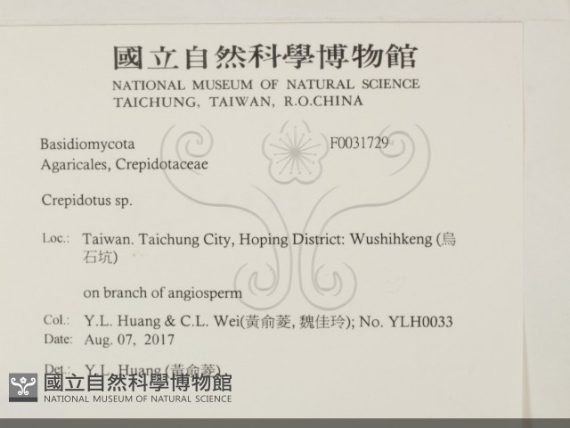 登錄號:F0031729藏品圖，第2張