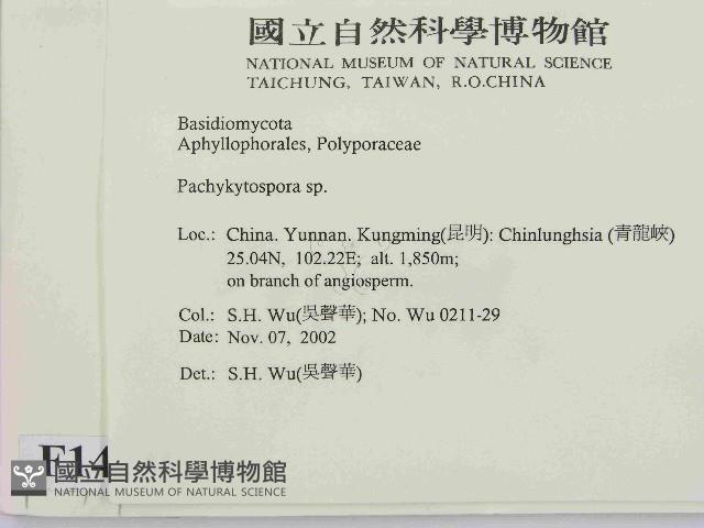 登錄號:F0014729藏品圖，第2張