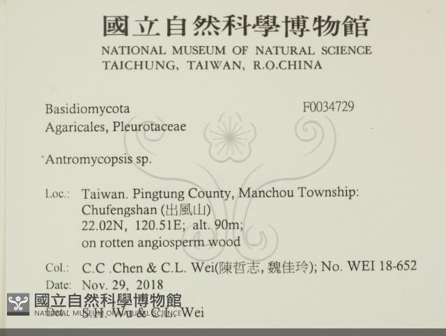 登錄號:F0034729藏品圖，第2張