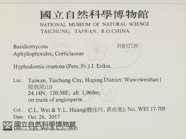 登錄號:F0032729藏品圖，第2張