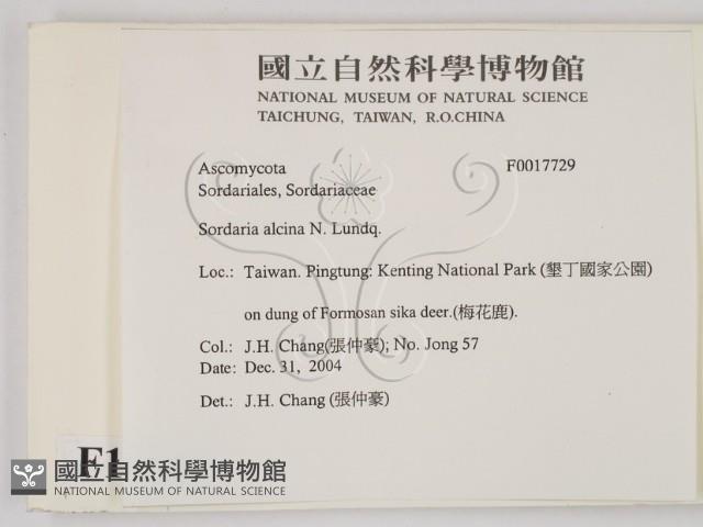 登錄號:F0017729藏品圖，第2張