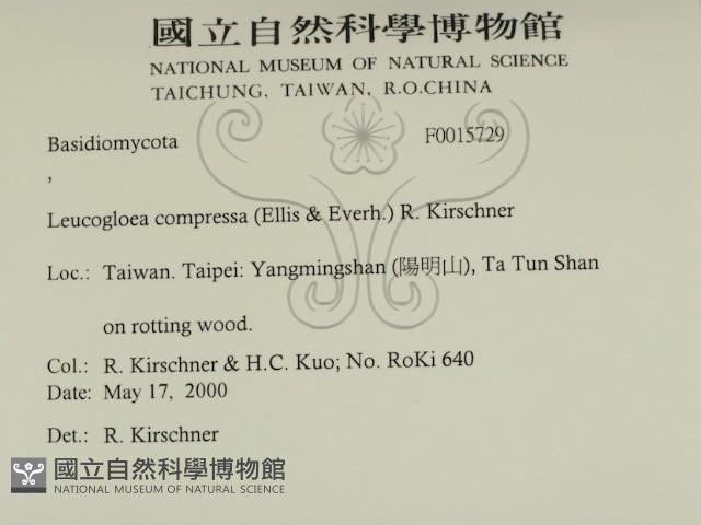 登錄號:F0015729藏品圖，第2張