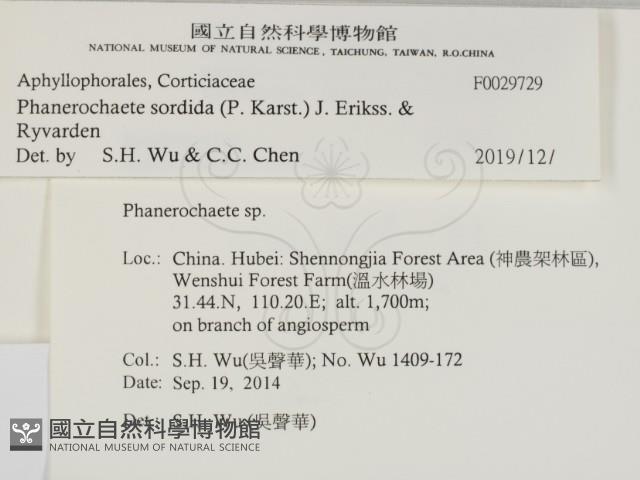 登錄號:F0029729藏品圖，第2張