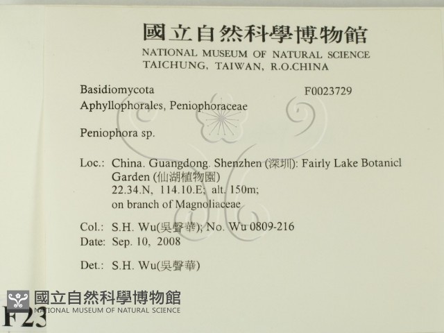 筍殼菌屬藏品圖，第2張