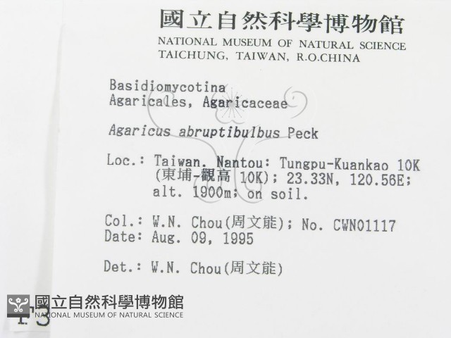 登錄號:F0003729藏品圖，第2張