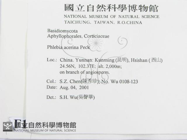 登錄號:F0013729藏品圖，第2張