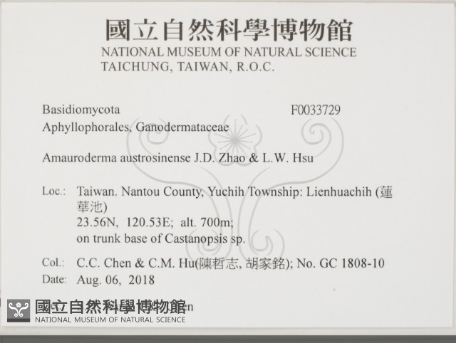 登錄號:F0033729藏品圖，第2張