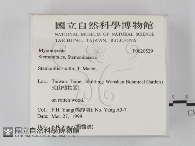 登錄號:F0020529藏品圖，第2張