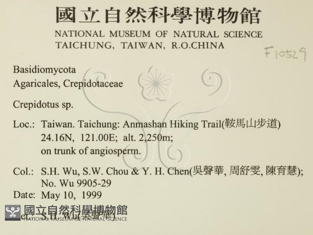 登錄號:F0010529藏品圖，第2張